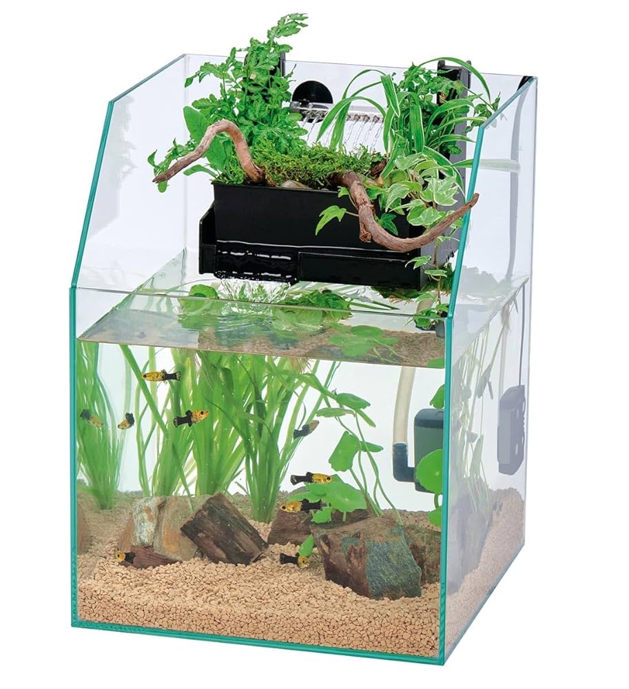 きゅうりNANO ACQUA 2点セット Amazon | ケニス アクアポニックスセット ライフサイエンス